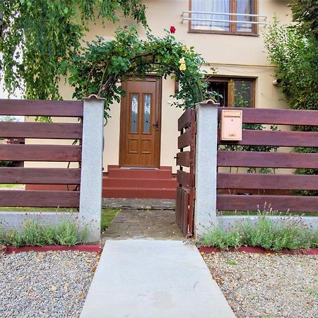 Vila Cu Mesteceni Cîmpina Ngoại thất bức ảnh
